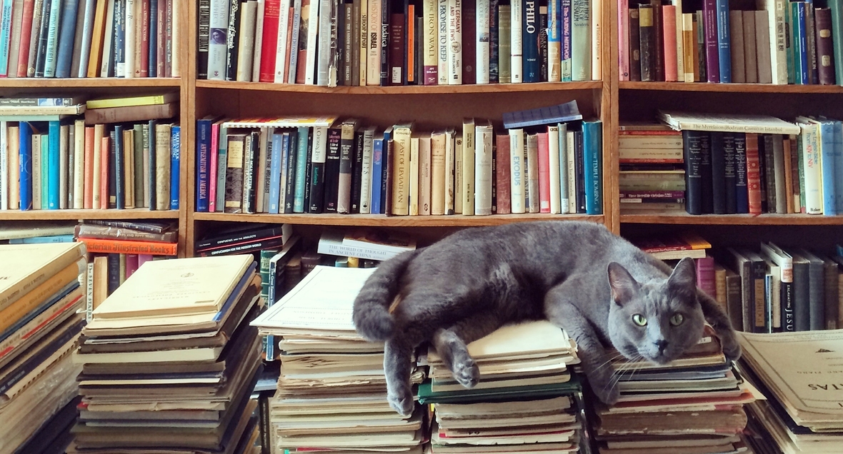 6 libros para regalar esta Navidad
