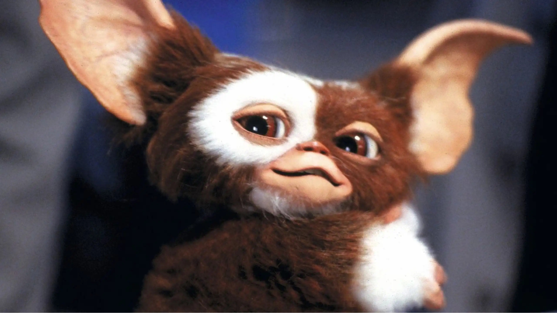 Fueron éxitos de verano / Terror familiar con ‘Gremlins’