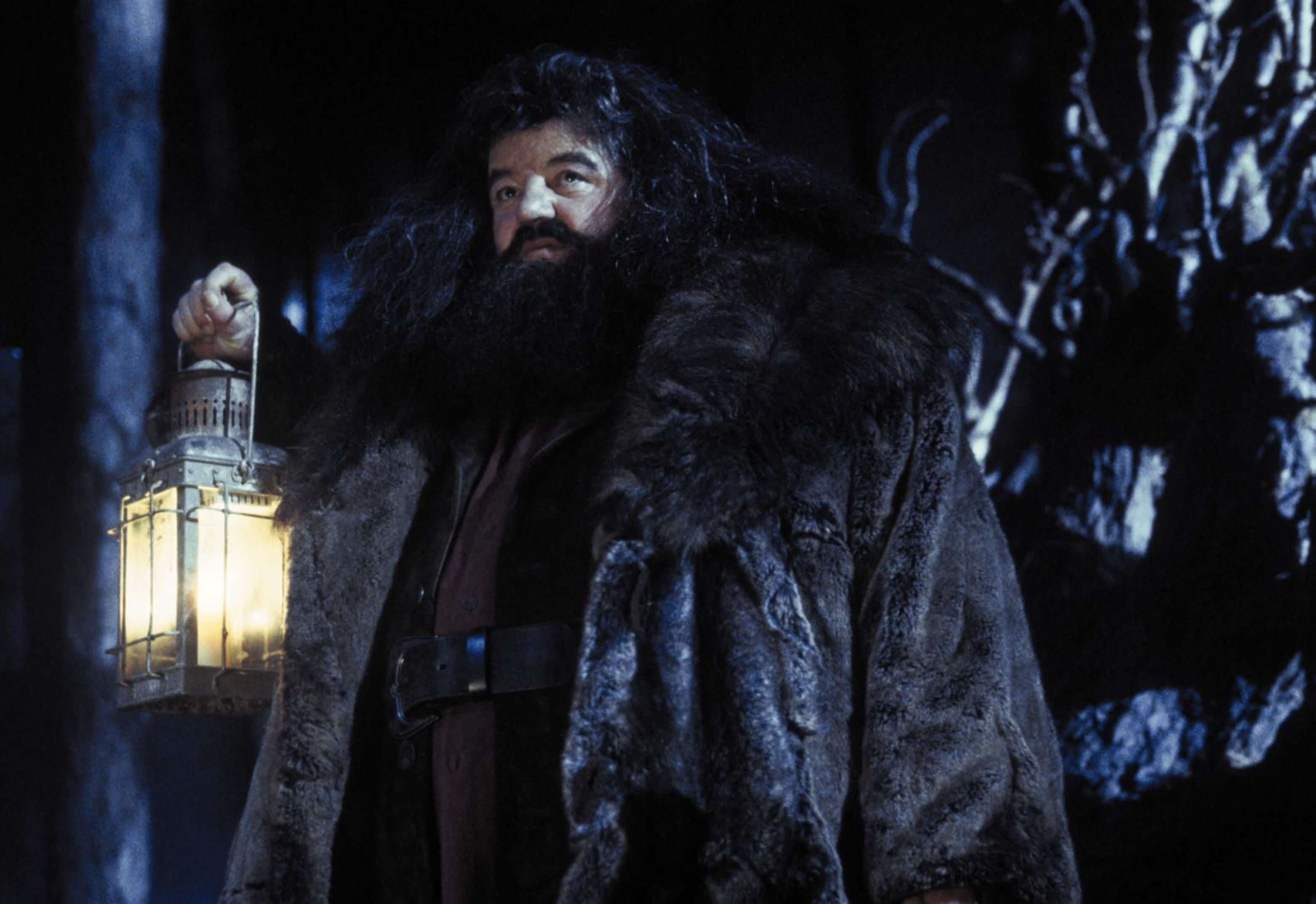 ¿Una serie de ‘Harry Potter’? ¿Por qué?