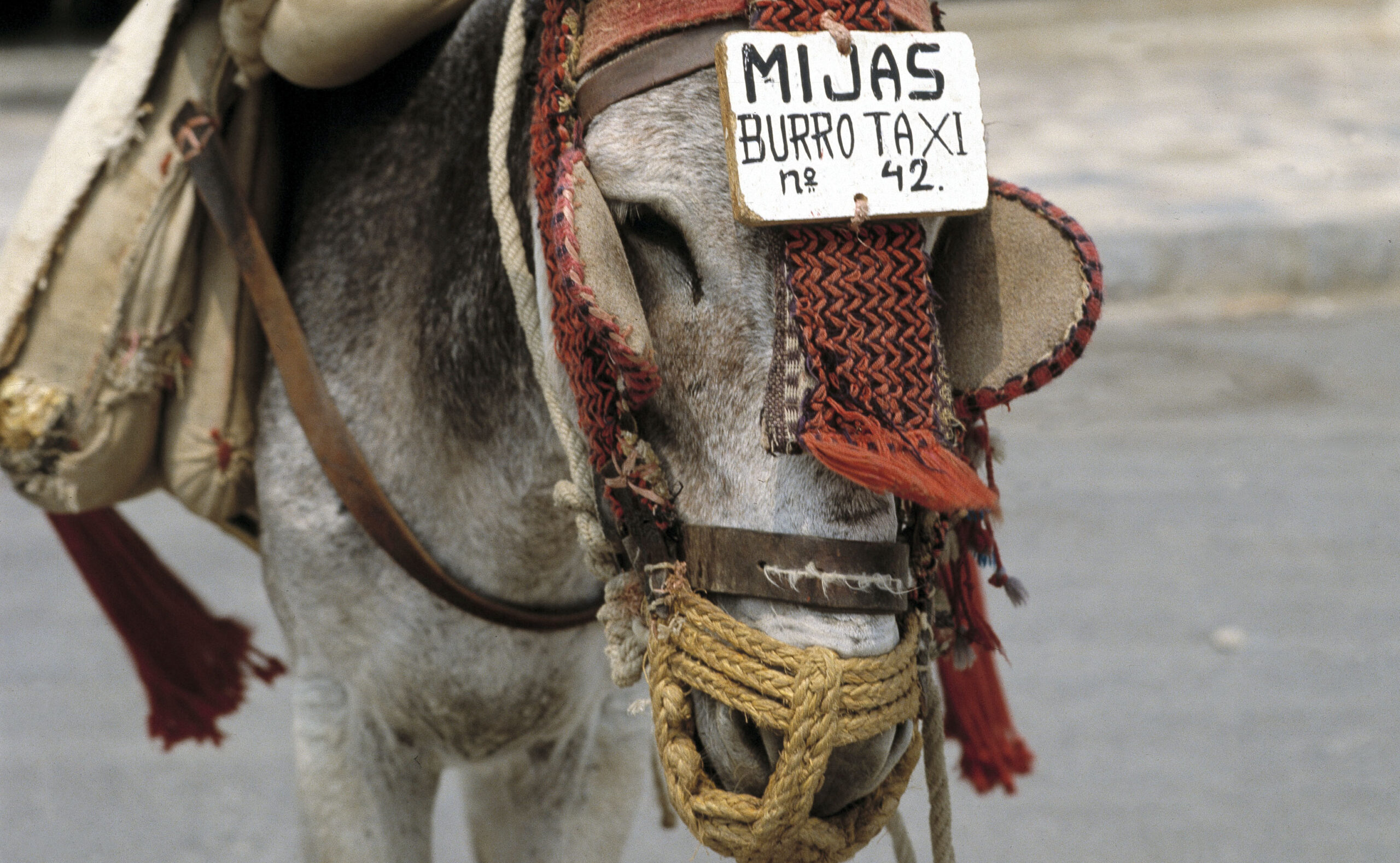 Vacaciones de antaño / Burrotaxi en Mijas