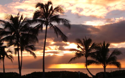 Playas de leyenda / ¿Existe Waikiki?