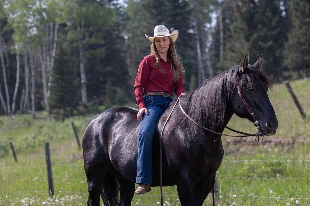 Heartland (Hulu / Netflix / Peacock)