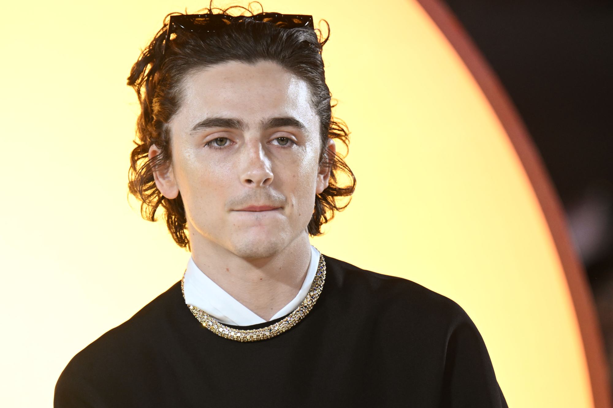 Timothée Chalamet, '1984', de George Orwell