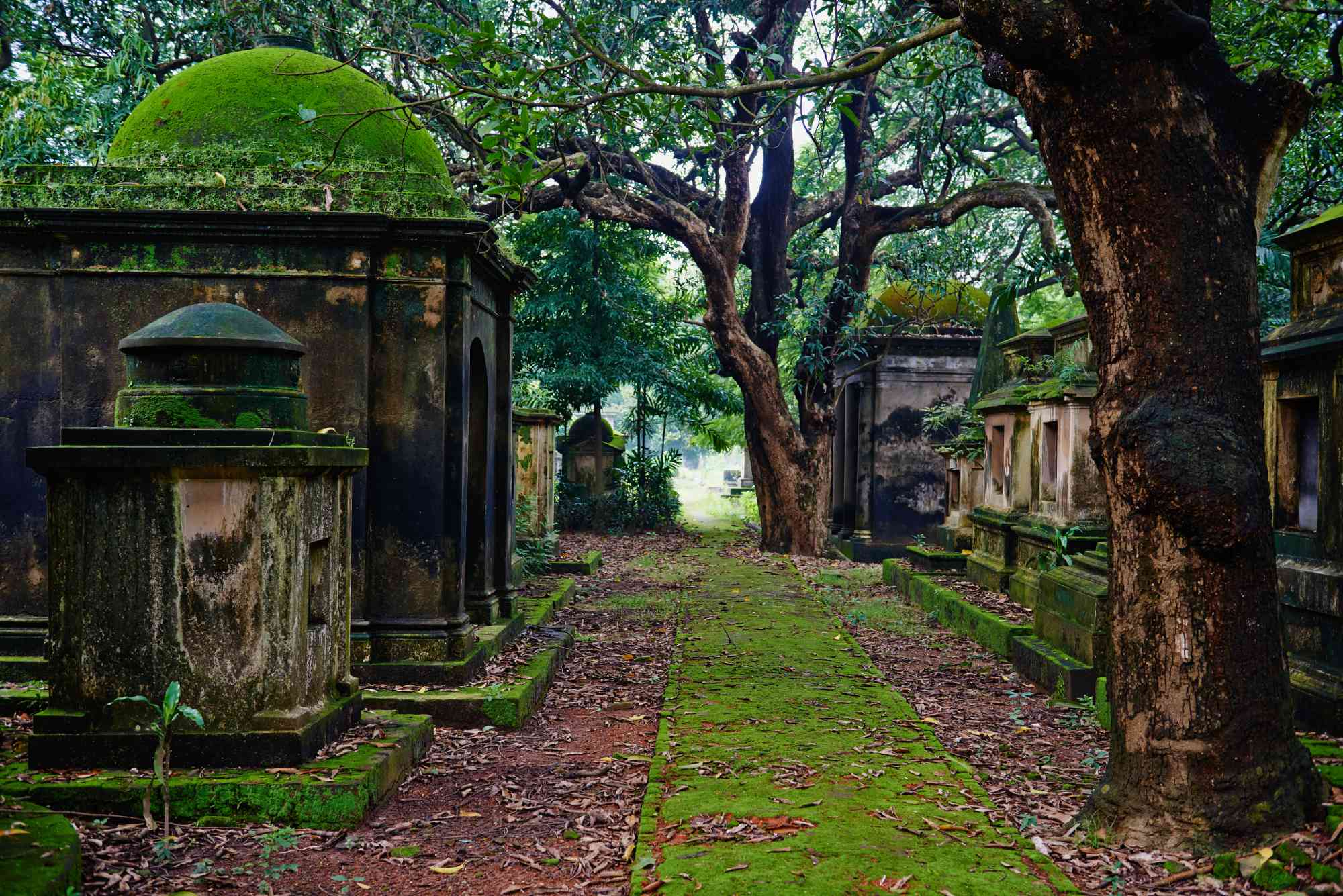 South Park Street, Calcuta, India