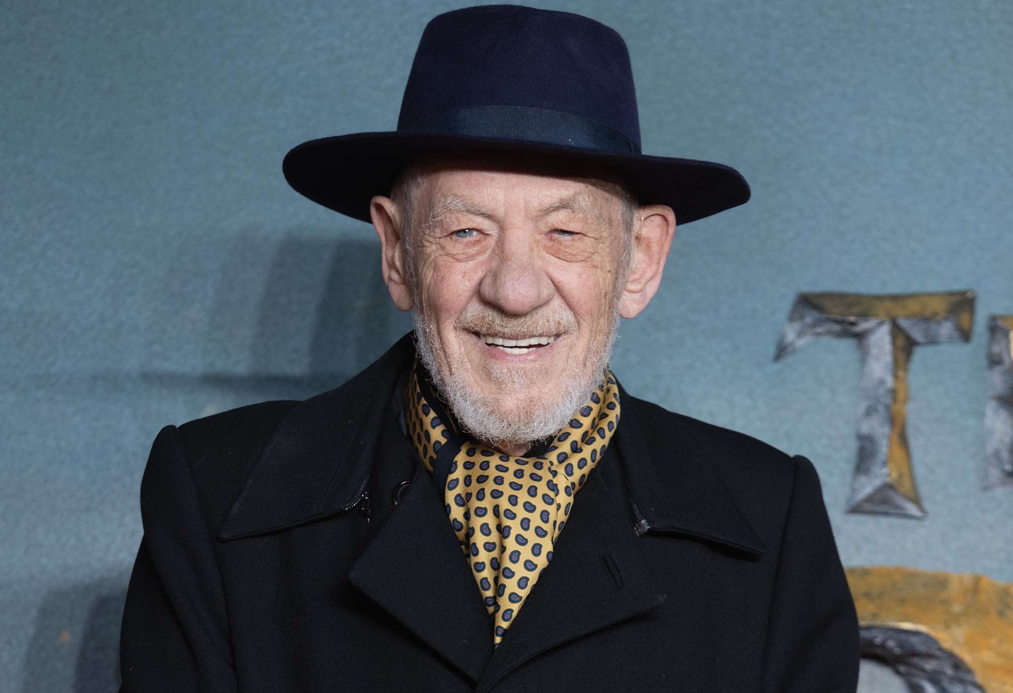 Ian McKellen - Magneto