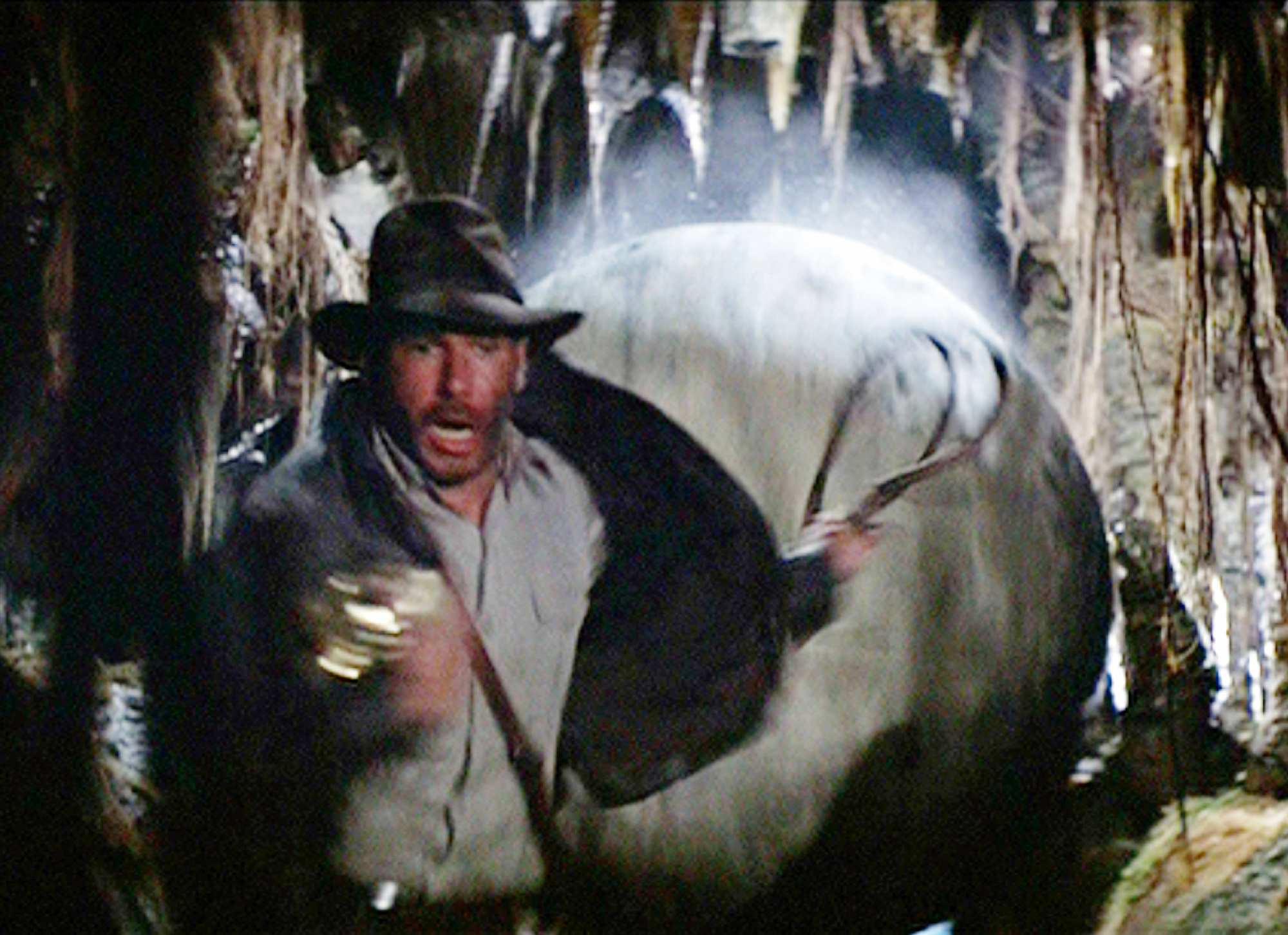 En busca del arca perdida (1981)