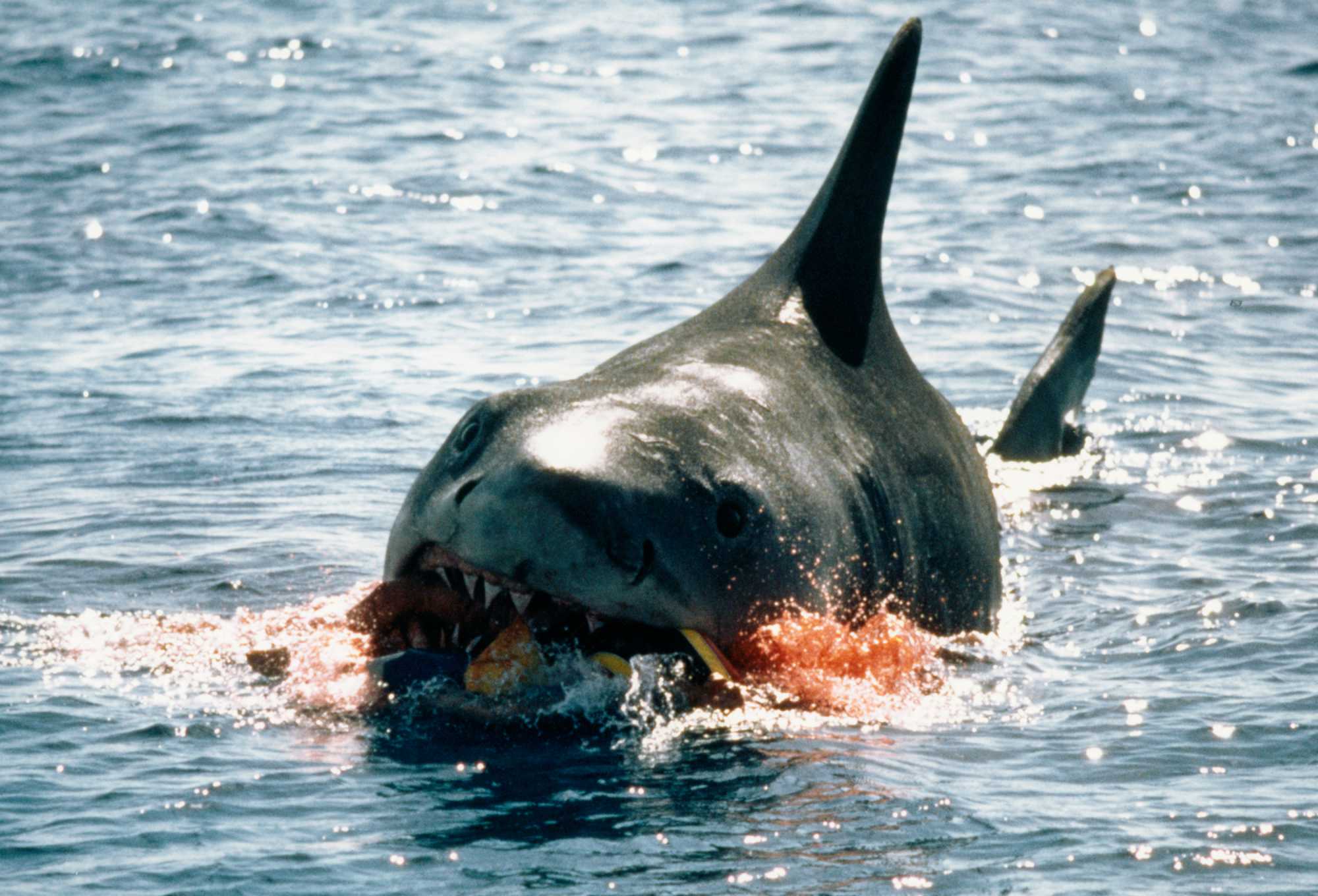 Fue todo muy complicado