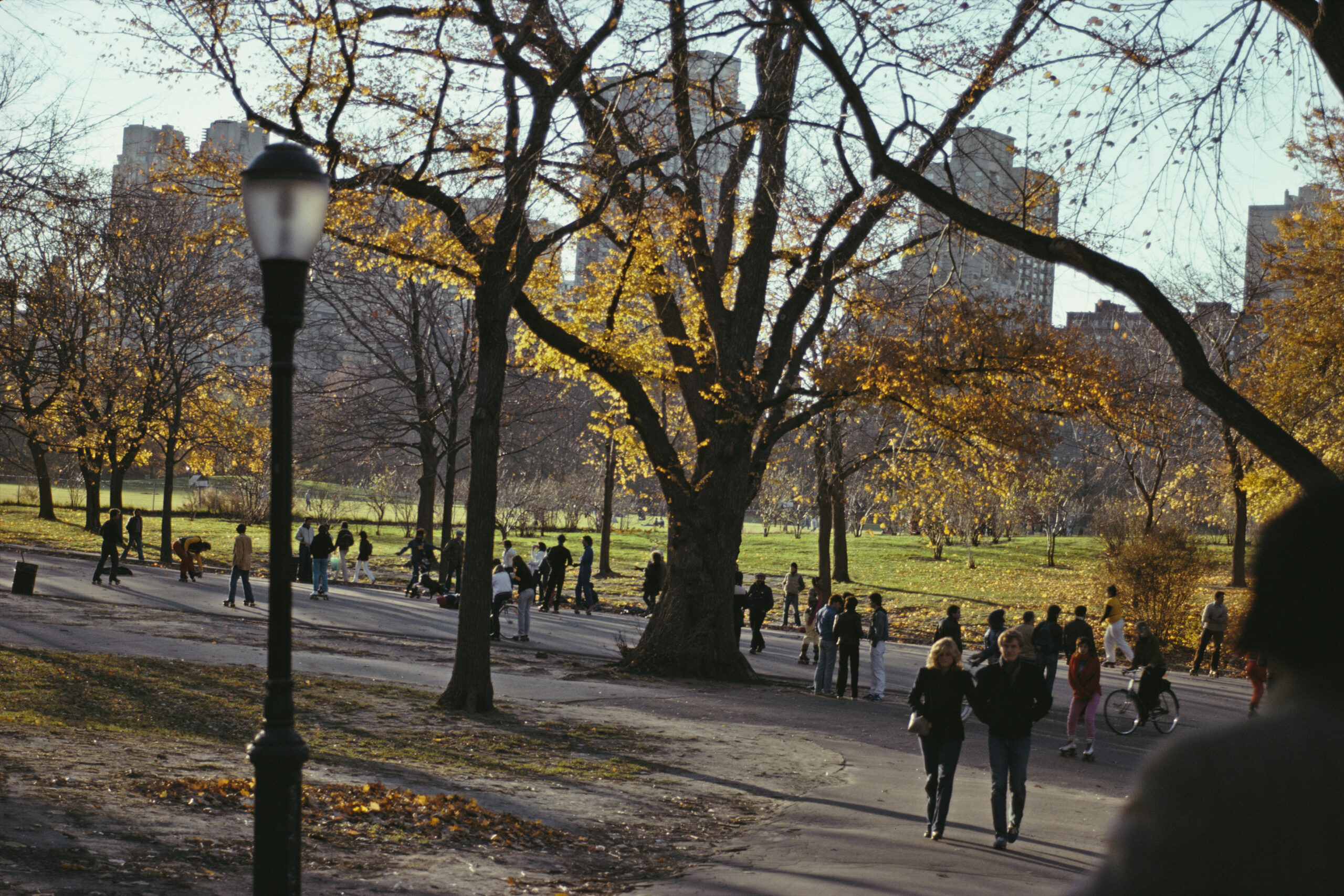 7 recomendaciones (y 1/2) para el otoño
