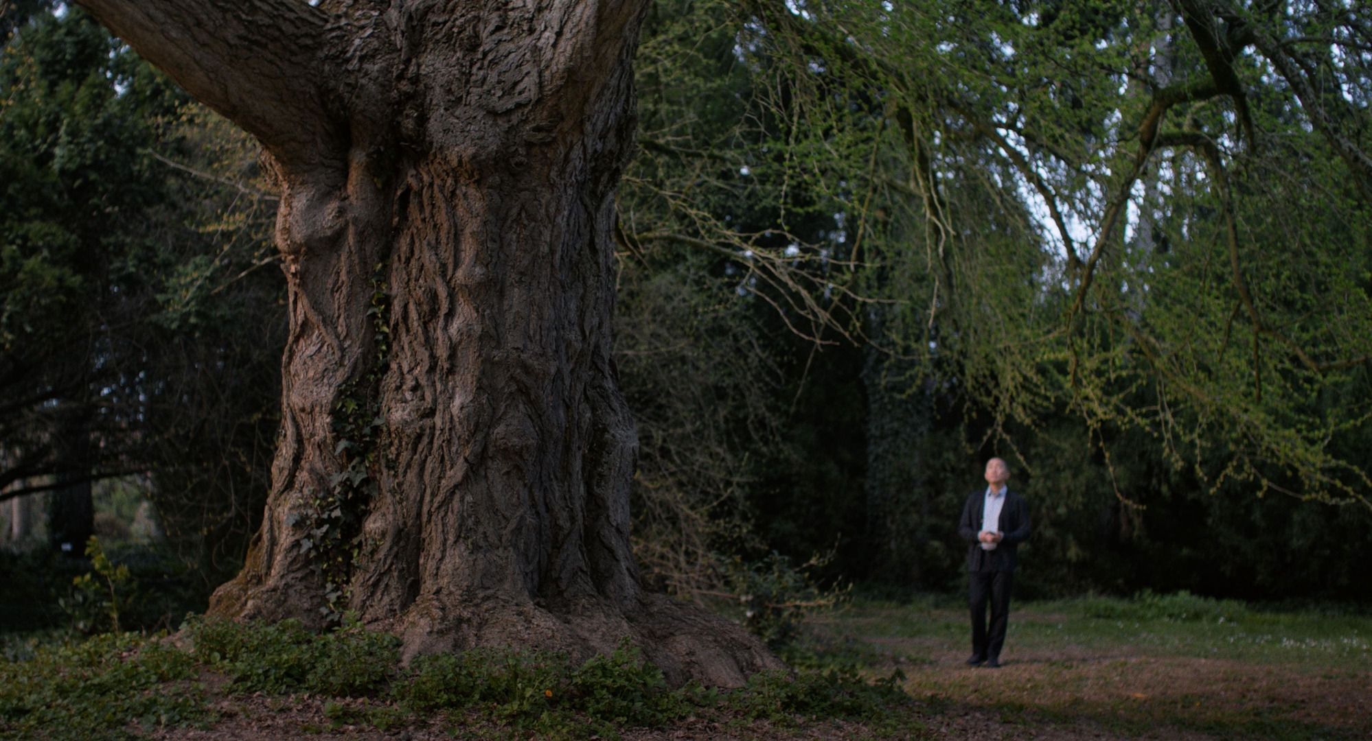 'Silent Friend', Ildikó Enyedi